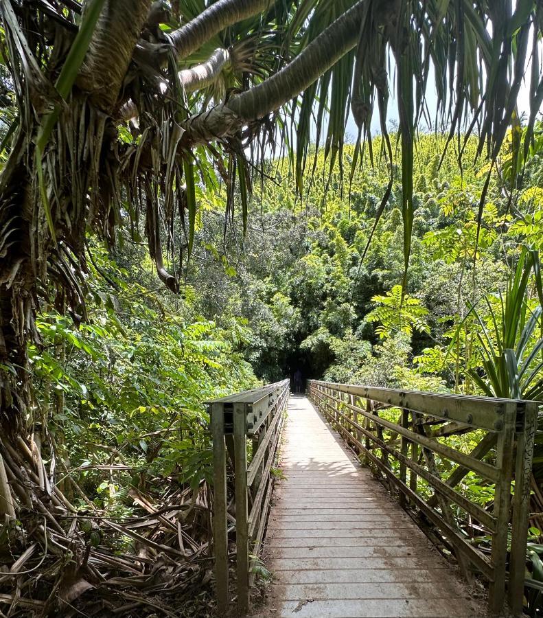 Explore Maui'S Diverse Campgrounds And Uncover The Island'S Beauty From Fresh Perspectives Every Day As You Journey With Aloha Glamp'S Great Jeep Equipped With A Rooftop Tent Paia Exterior foto